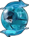 Ashley Dolphin