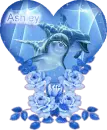Ashley Heart Dolphin