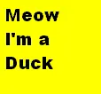 Meow Im a Duck
