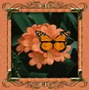 borboleta na flor
