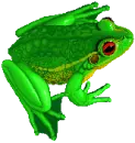 perereca