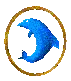 golfinhos