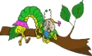 lagarta
