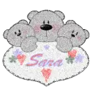 Sara