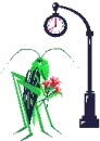 Grasshopper