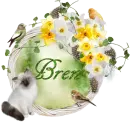 Bren Spring