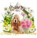 Happy Mothers day/dog