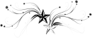 Black and white stars