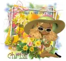 Chrissi