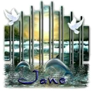 Dolphins - Jane