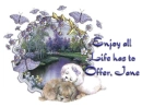 Enjoy - Jane