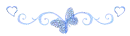 divider_butterfly 