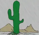 Rainy Desert 