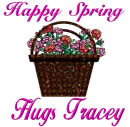 Tracey