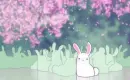 cute_bunny 