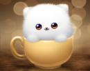 cute cuppy cat
