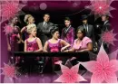 glee cast 