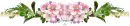 Flowers - div - fg
