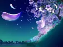 beautiful petals 