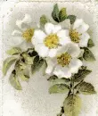 Happy Spring!