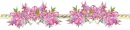 Flowers - div