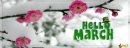 Facebook Cover, seasonal, month