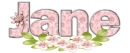 Pink flowers - Jane