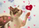 Happy Valentine's Day!