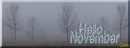 Facebook Cover, November