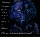 BlackWolf