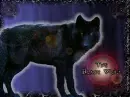 BlackWolf