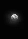 Dark Moon