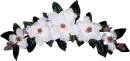 Crown Of Flowers