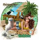Summer dreams/Robbie