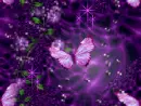 PURPLE BUTTERFLY BACKGROUND