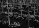 Death & Flowers 