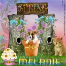 Melanie -Spring