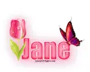 Single Pink Tulip: Jane