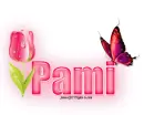 Single Pink Tulip: Pami