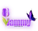 Single Purple Tulip: Jammy