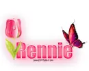 Single Pink Tulip: Rennie