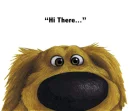 Hi There ...!