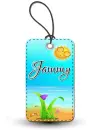 Beach Tag: Jammy
