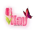 Single Pink Tulip: Kay