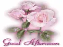 Good afternoon!