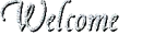 Welcome (Silver Theme)