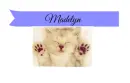 Madelyn Cat Label