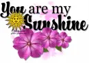 You are my Sunshine
