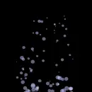 bubbles