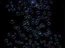 bubbles